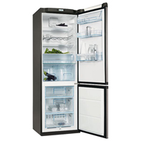 ELECTROLUX ERA 36633 X